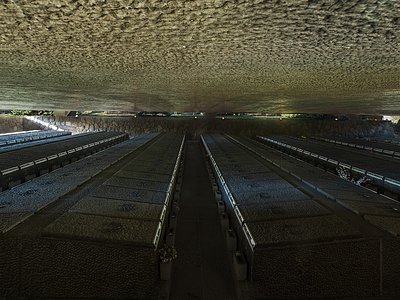 Mausoleo delle Fosse Ardeatine | Andrea Jemolo Photographic Archive of Architecture and Art