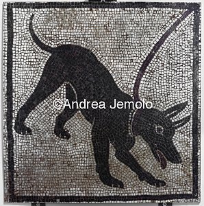 Archaeological National museum Pompeii - House of the Tragic Poet - Mosaic - Guard dog - Cave Canem | Andrea Jemolo