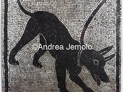 Museo Archeologico Nazionale Pompei - Casa del Poeta tragico - Mosaico - Cane da guardia - Cave Canem | Andrea Jemolo