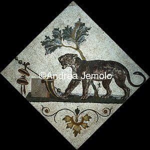 Archaeological National museum Pompeii - Santangelo Collection - Mosaic - Panther with Dionysian symbols | Andrea Jemolo