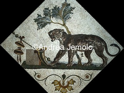 Museo Archeologico Nazionale Pompei - Collezione Santangelo - Mosaico - Pantera con simboli dionisiaci | Andrea Jemolo