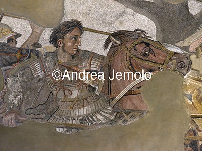 Museo Archeologico Nazionale Pompei - Casa del Fauno - Battaglia di Isso - Alessandro - Mosaico | Andrea Jemolo