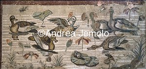 Archaeological National museum Pompeii - House of the Faun - Nilotic Scene - Mosaic | Andrea Jemolo