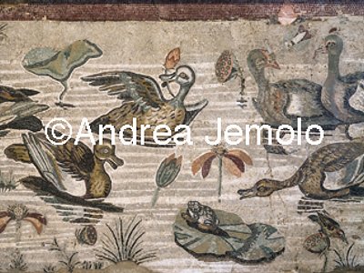Museo Archeologico Nazionale Pompei - Casa del Fauno - Scena nilotica - Mosaico | Andrea Jemolo