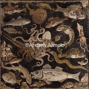 Archaeological National museum Pompeii - Mosaic of Sea Creatures | Andrea Jemolo