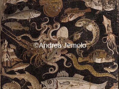 Museo Archeologico Nazionale Pompei - Catalogo di pesci - Mosaico | Andrea Jemolo