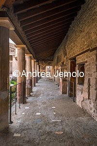 House of the golden cupids - Peristyle  | Andrea Jemolo