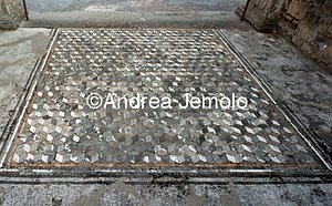 House of the Faun Tablinum - Floor | Andrea Jemolo