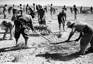 Construction of an airstrip in Africa  | Andrea Jemolo