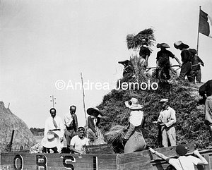 Mussolini threshing the first wheat of Agro Pontino  | Andrea Jemolo