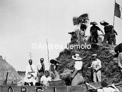 Mussolini threshing the first wheat of Agro Pontino  | Andrea Jemolo