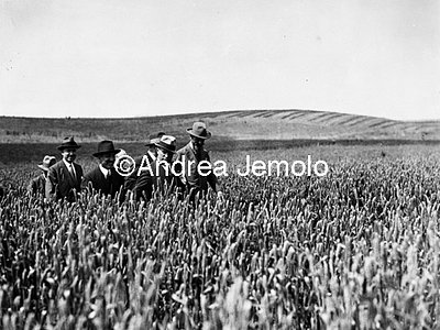 Mussolini's visit to the Institute of Pomology and asylum in Grottarossa  | Andrea Jemolo