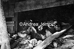 Italian soldiers died as a result of Austrian attack with poison gas - San Michele  | Andrea Jemolo