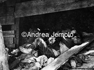 Italian soldiers died as a result of Austrian attack with poison gas - San Michele  | Andrea Jemolo