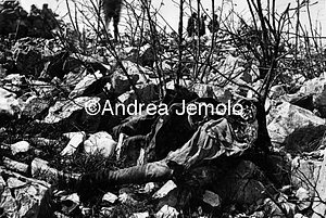Remains of Italian soldiers killed - Castagnevizza  | Andrea Jemolo