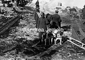 Sled dogs - Adamello  | Andrea Jemolo
