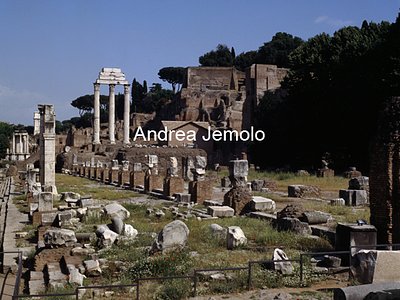 Roman forum Julia basilica | Andrea Jemolo