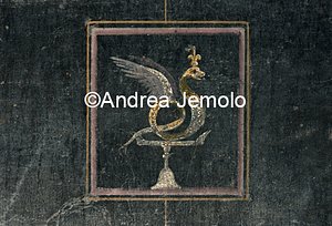 Villa of the Mysteries Decoration painted in the hall | Andrea Jemolo
