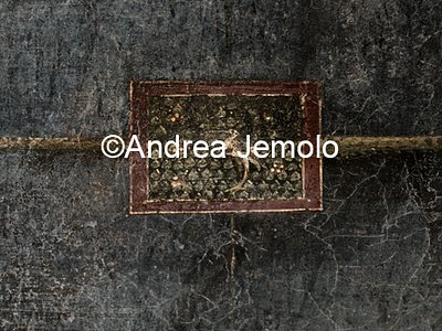Villa of the Mysteries Decoration painted in the hall | Andrea Jemolo