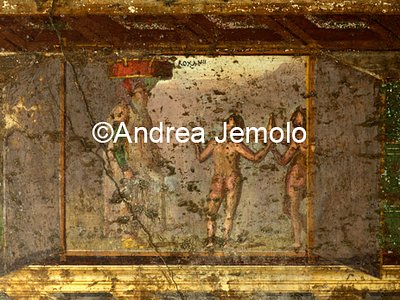 Villa of the Mysteries Alcove wih scene of a with sacrifice for Dionysus | Andrea Jemolo