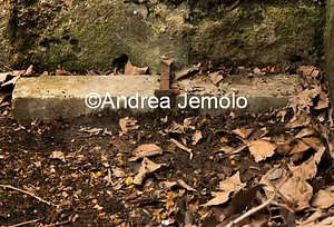 City walls Cippus in oscan language at Porta Stabia | Andrea Jemolo