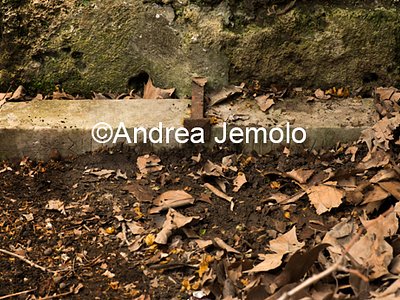 City walls Cippus in oscan language at Porta Stabia | Andrea Jemolo