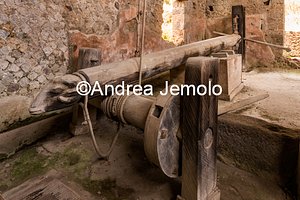 Villa of the Mysteries Wine press in torcularia | Andrea Jemolo