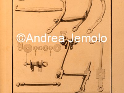 Museo Archeologico Nazionale Finimenti per cavalli in "Disegni originali dell’Ercolano" | Andrea Jemolo