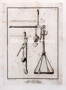 Archaeological National museum Two scales in "Antichità di Ercolano.Rami inediti" II | Andrea Jemolo