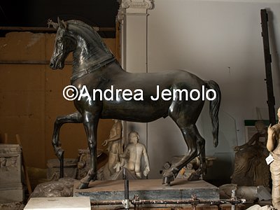 Museo Archeologico Nazionale Statua di cavallo - Cavallo Mazzocchi, bronzo; da Ercolano | Andrea Jemolo