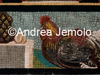 Museo Archeologico Nazionale Gallo e una melagrana mosaico in pasta vitrea | Andrea Jemolo
