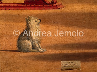 Scuola di San Giorgio degli Schiavoni Sant'Agostino nel suo studio - Cagnolino e firma | Andrea Jemolo