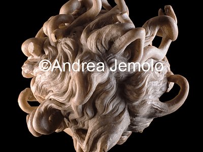 Musei Capitolini Medusa - dall'alto | Andrea Jemolo