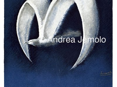 Linee Aeree Transcontinentali Italiane Advertising postcard | Andrea Jemolo