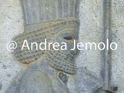 Apadana - Audience hall - access staircase Persian and medi warriors | Andrea Jemolo