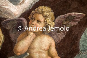 Santa Maria della Pace Sibille e angeli - Putto | Andrea Jemolo