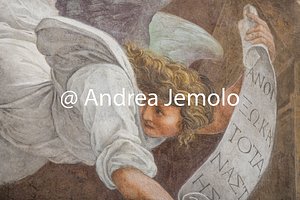 Santa Maria della Pace Sibille e angeli - Angelo | Andrea Jemolo