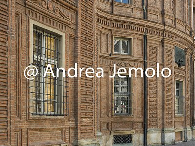 Palazzo Carignano Façade - Detail of the lower order | Andrea Jemolo