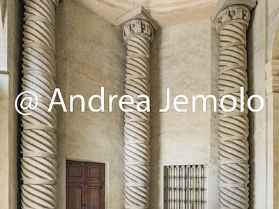 Palazzo Carignano Vestibule with columns | Andrea Jemolo