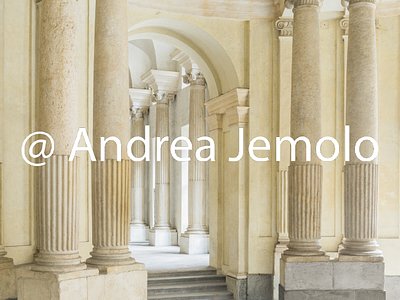 Palazzo Carignano  Atrium with coupled Ionic columns | Andrea Jemolo