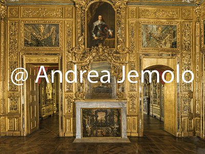 Palazzo Carignano Apartment of the Princes in the wing of the palace called “a Mezzogiorno” - The Hall of Battles  | Andrea Jemolo