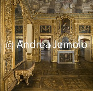 Palazzo Carignano Appartamento dei Principi nell'ala del palazzo detta “a Mezzogiorno” - Sala delle Battaglie | Andrea Jemolo