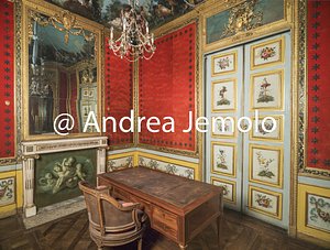 Palazzo Carignano Appartamento dei Principi nell'ala del palazzo detta “a Mezzogiorno” - Studio di Cavour | Andrea Jemolo