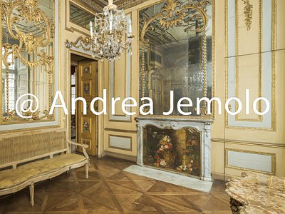 Palazzo Carignano Apartment of the Princes in the wing of the palace called “a Mezzogiorno” - Studio of Carlo Alberto | Andrea Jemolo