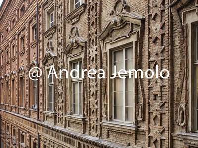Palazzo Carignano Windows on the courtyard | Andrea Jemolo