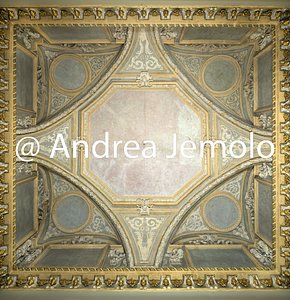 Palazzo Carignano Decorazione a stucco della volta di una sala | Andrea Jemolo