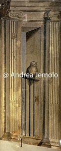Chiesa della Trinità dei Monti - Convento Sala della Gloria - Parete nord | Andrea Jemolo