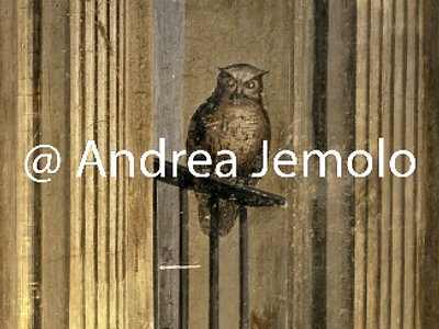 Trinità dei Monti - Monastery Hall of Glory - North side | Andrea Jemolo