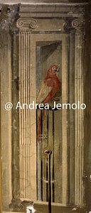 Chiesa della Trinità dei Monti - Convento Sala della Gloria | Andrea Jemolo