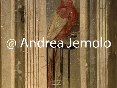 Trinità dei Monti - Monastery Hall of Glory | Andrea Jemolo